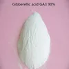 20 gram gibberellic acid ga3/Gibberellin /GA3/Gibberellic acid  Plant Growth Hormone with low price ► Photo 1/6