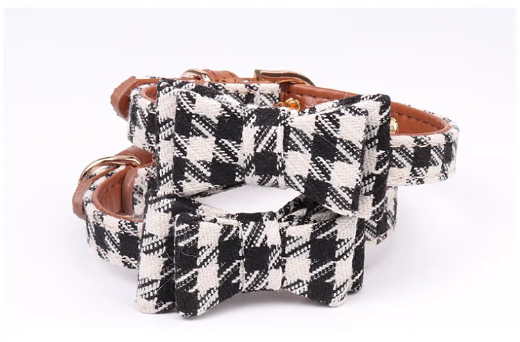 8573306576_307791824