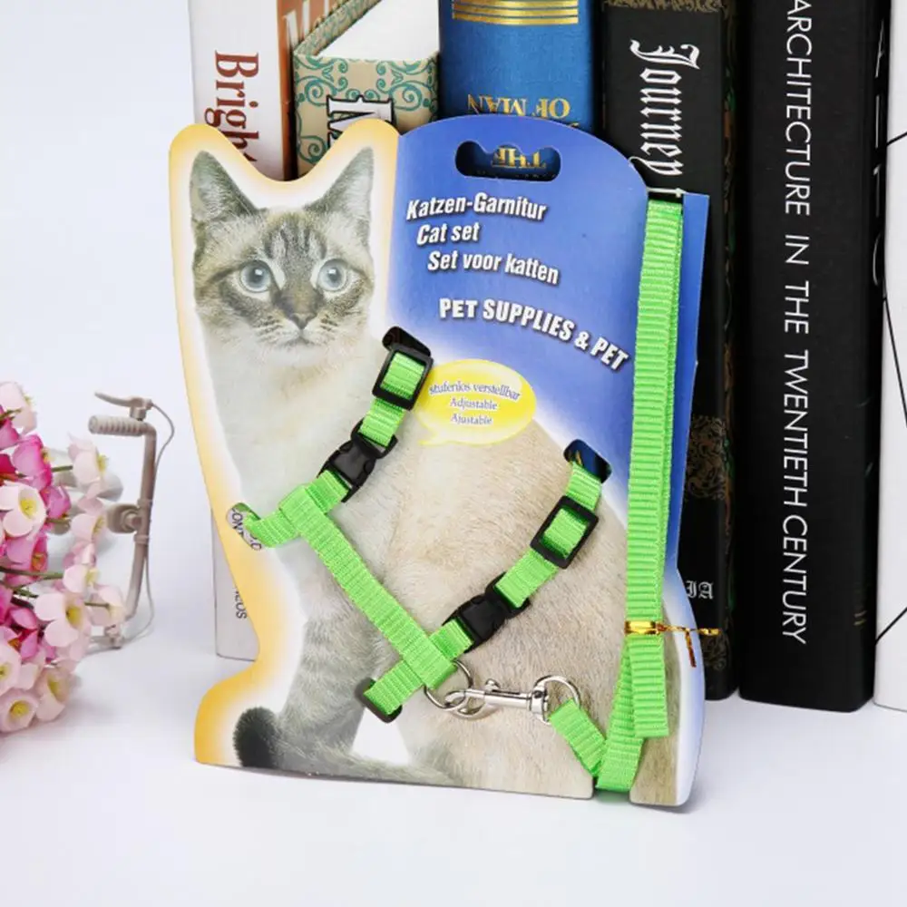 small cat harness and leash