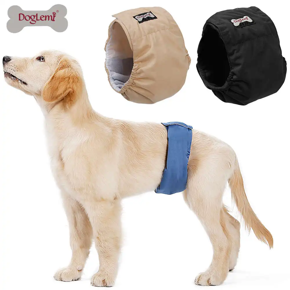 Teddy Golden Retriever dog shorts underwear reusable diaper tightening for dog pants dog physiological belt Pet hygiene pants