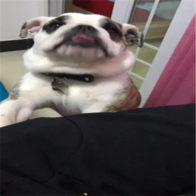 1060