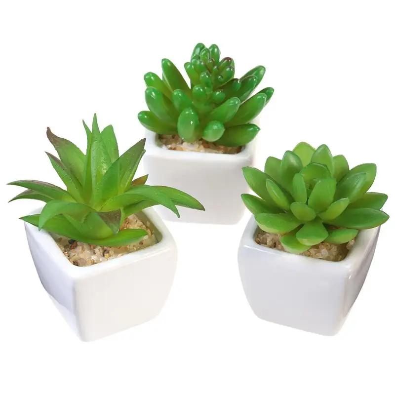 

WINOMO 3pcs Mini Artificial Succulent Plants with White Ceramic Planter Pots