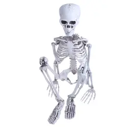 Человек Средний Череп всего тела анатомическая модель для Хэллоуина спецодежда медицинская Прямая поставка De15