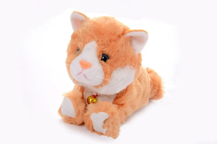 2685843844_901399544