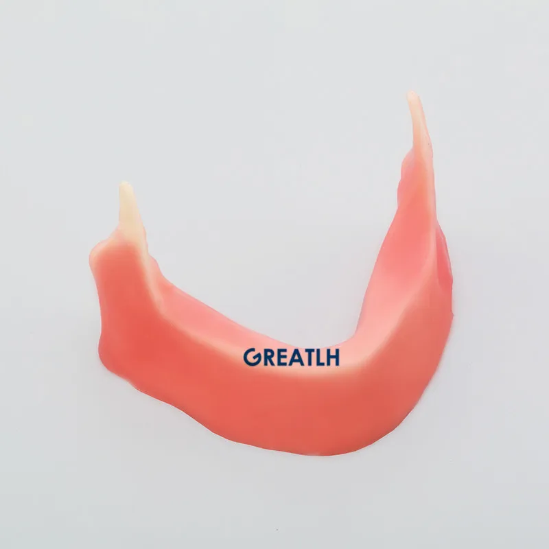 Modelo de Mandíbula Dental com Silicone para Prática de Incisão Mandibular Implante Sutura Dentista Prática Modelo M2027 4 Modelo de mandíbula mandibular dental com silicone