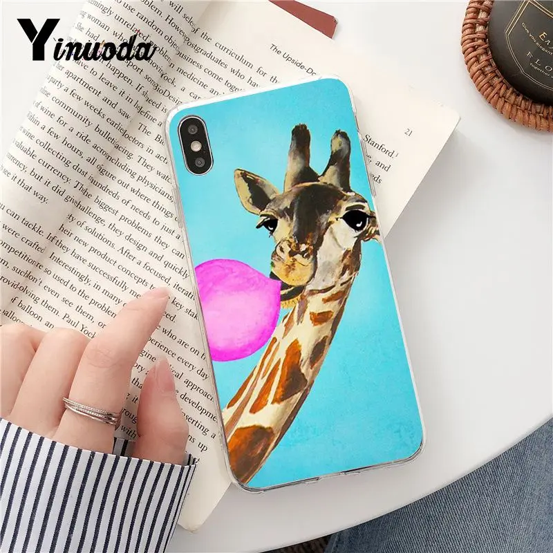 Wear Glasses Giraffe