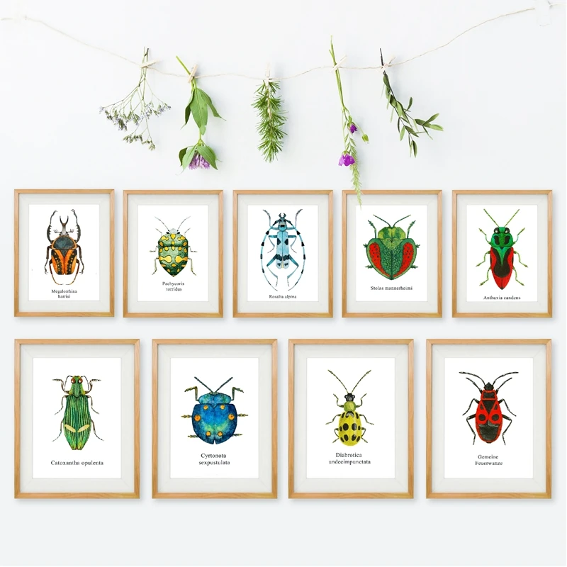 Watercolor Insect Poster Home Decor