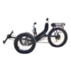 Pneu gras électrique pour adulte, pneu extérieur, tricycle inclinable ► Photo 2/6