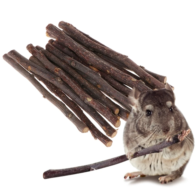 20pcs Chew Stick Apple Tree Branch Hamster Squirrel Natural Toys