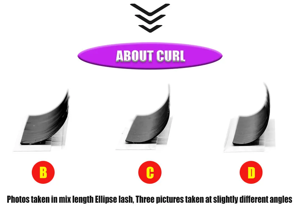 ellipse-1_11