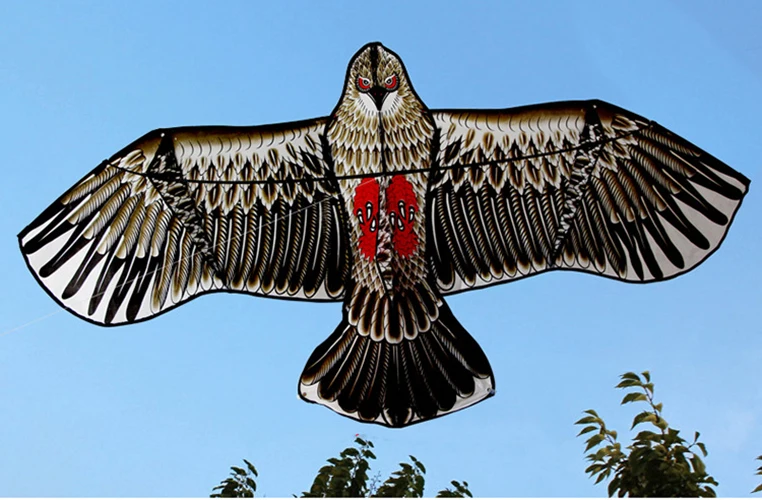 Buy Buzzard (2015) Hq