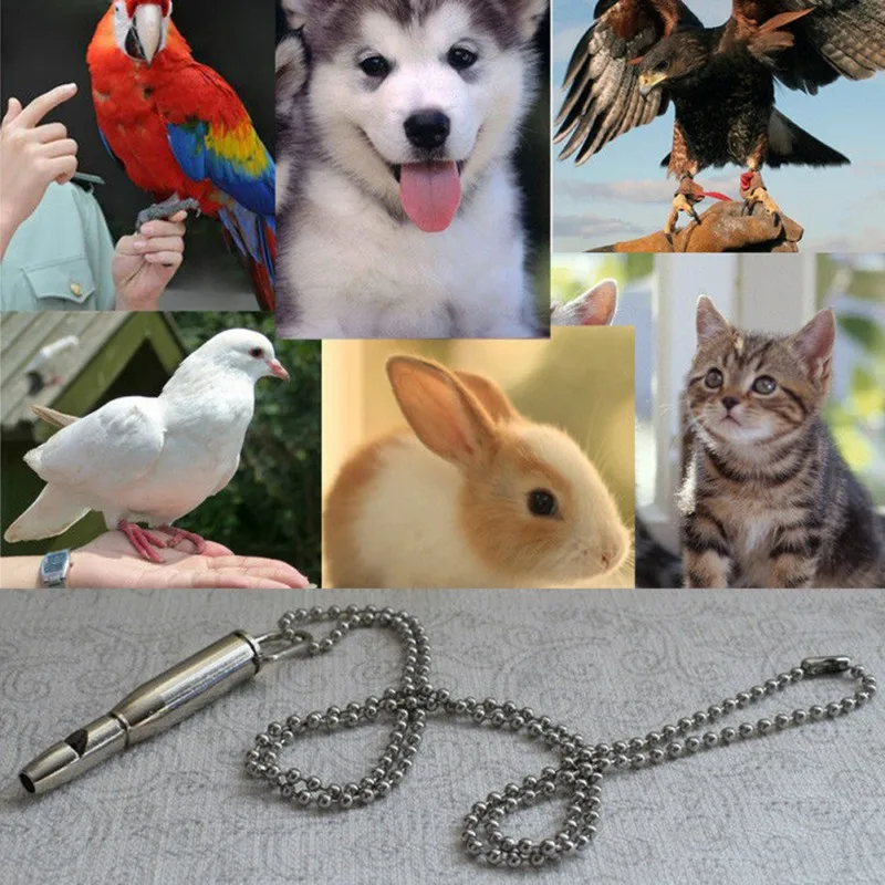 Pet Training Whistle for Animal with Portable Chain Keychain Pet Interactive Toy Durable Whistle Puppy Parrot Training Tools