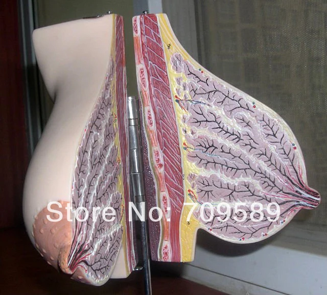 vittu karvainen teini