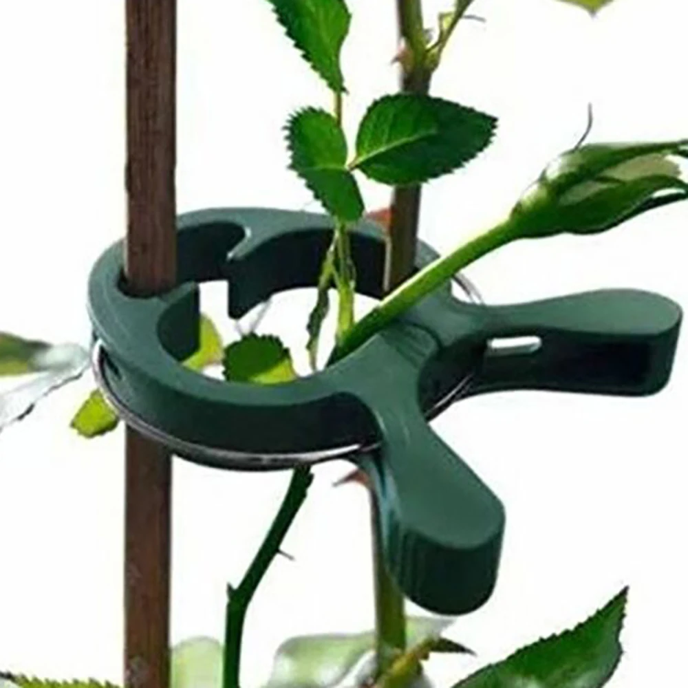 SMALL LARGE Plastic Garden Plant to Cane Support Clips Sprung Spring Ties B 