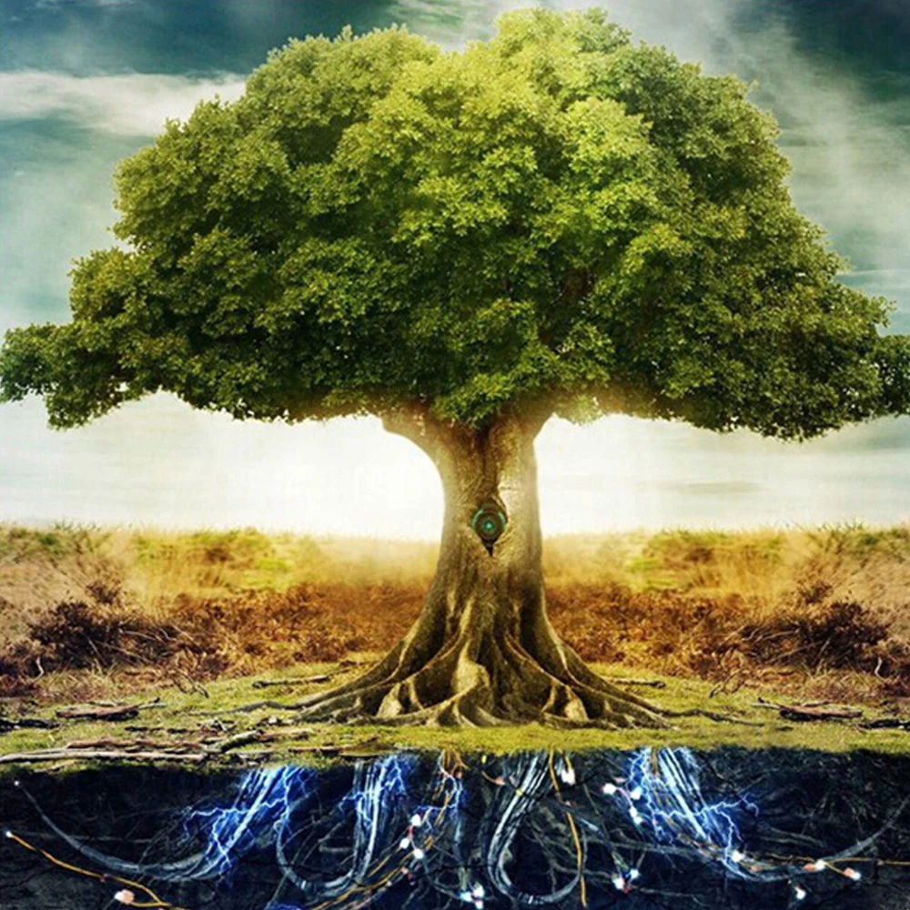 прекрасный род