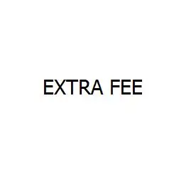 

Extra Fee/Plus Size/Custom-Made/Express Shipping Fee