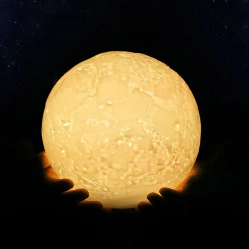 WD0862 (11)