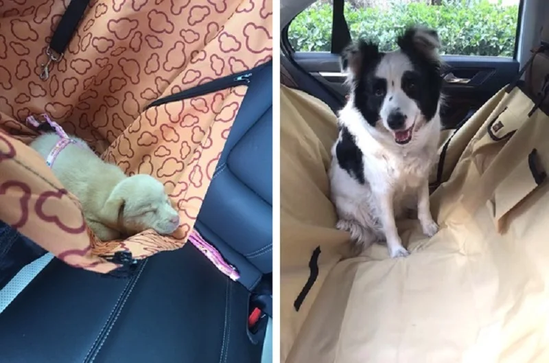 TB25PSkXDgc61BjSZFzXXXH2FXa_!!0-rate.jpg_400x400