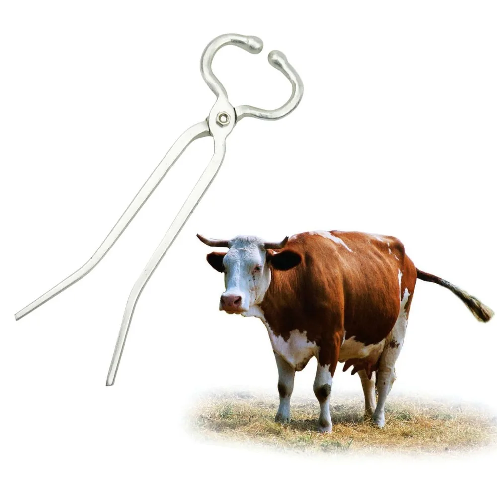 Buy 1 pcs Cattle Nose Clamp Cattle Traction Ppliers