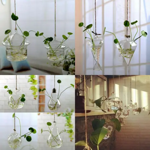 Flower Hanging Vase Glass Planter Plant Terrarium Container Home Wedding Decor Air Planter Decoratives Vase