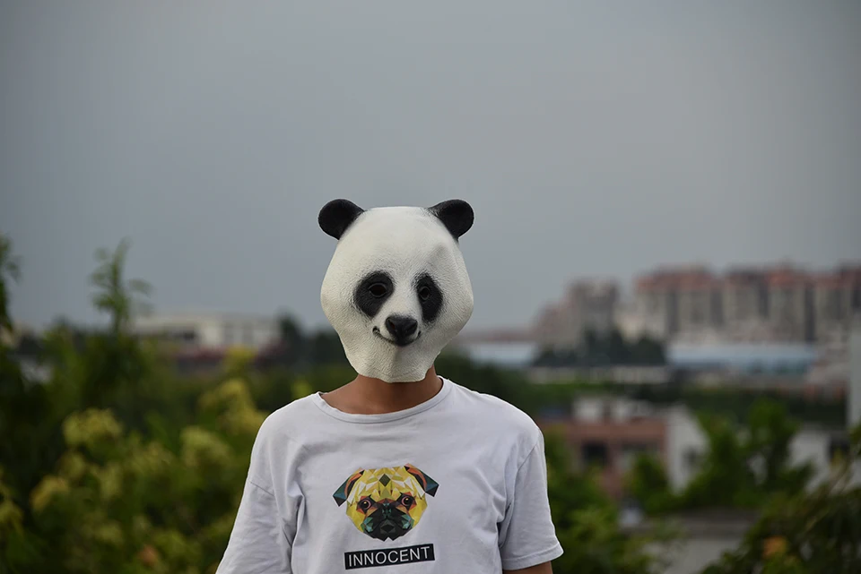 DSC_0568