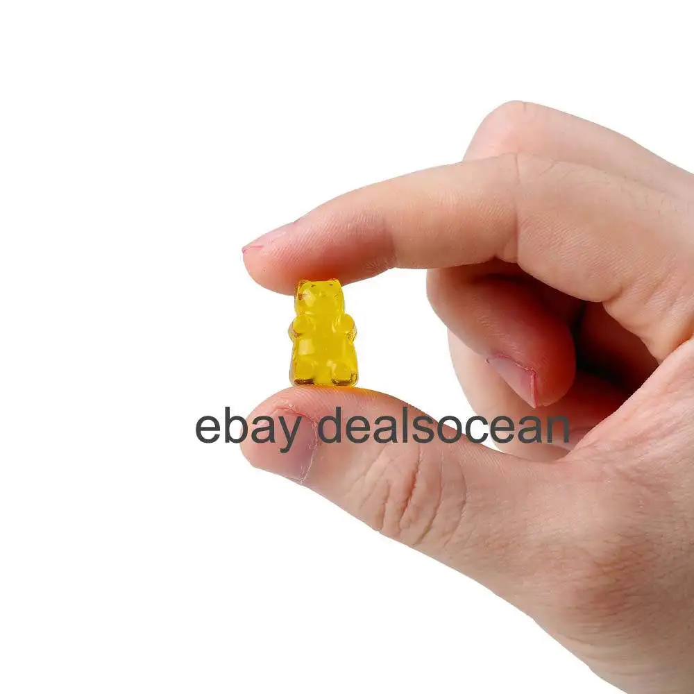 bear14