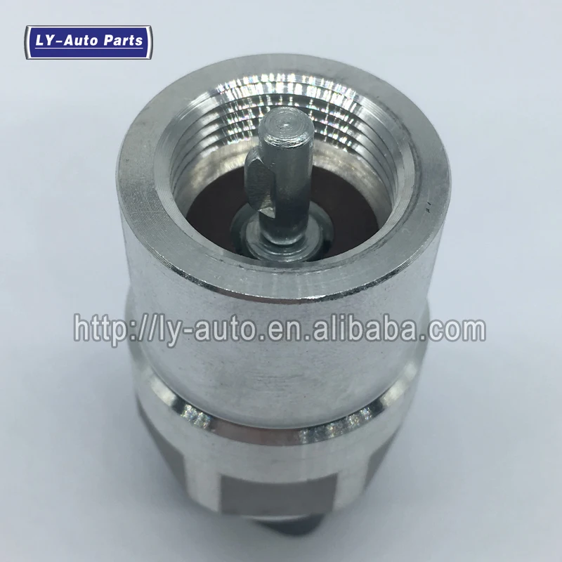 MK421137 (2)