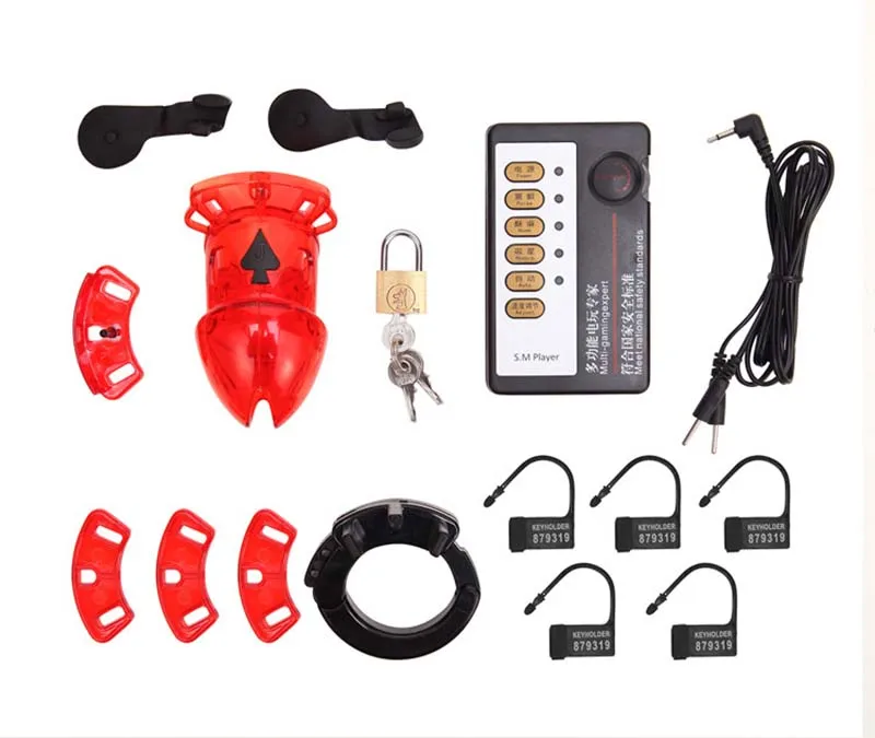 4231879391_1729638311