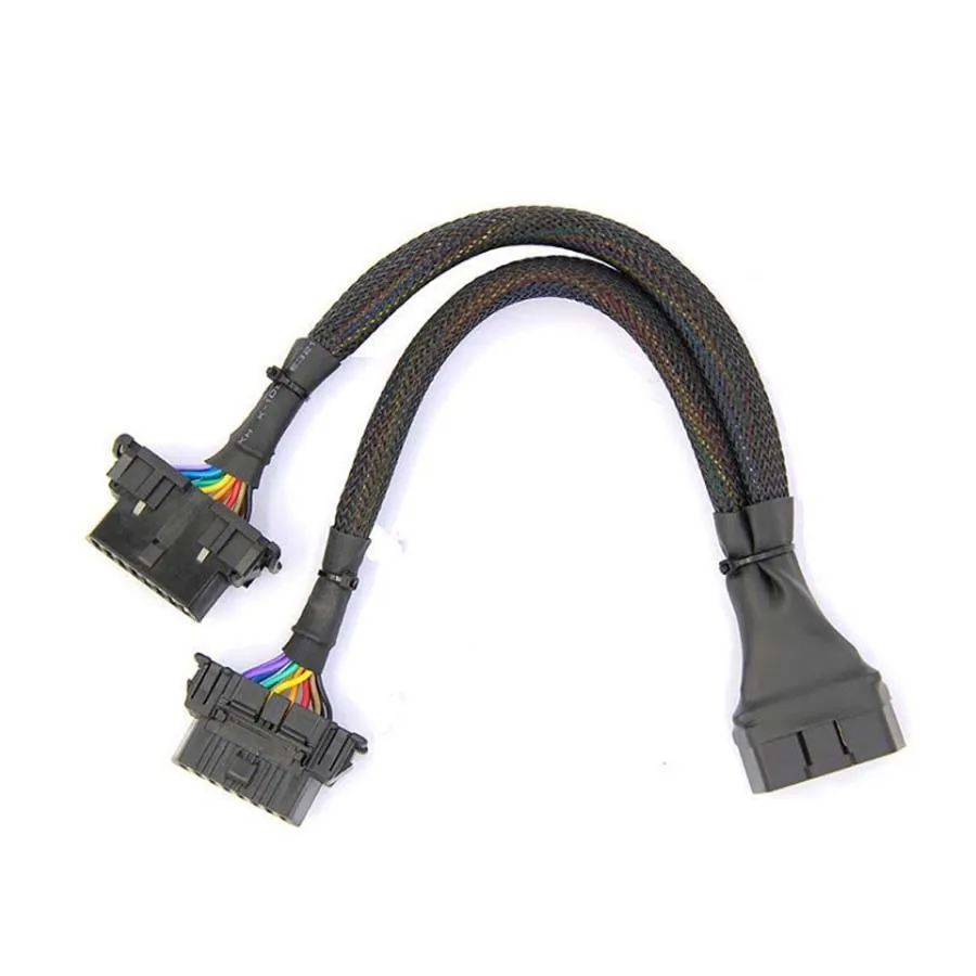 20181110_121030_025-3