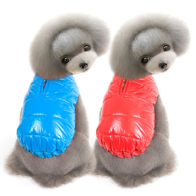 puffy dog jacket
