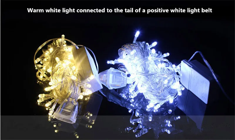 christmas string light (17)