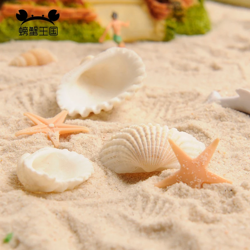

10pcs Dollhouse Miniature Accessories Mini Conch Simulation Beach Shell Model Toys for Doll House Decoration