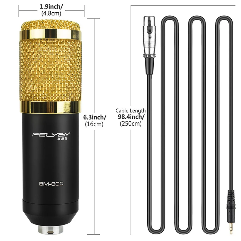 FELYBY Professional конденсаторный микрофон BM 800 Аудио Студийный записывающий микрофон 48 В Phantom мощность Usb звуковая карта Веб камера видео чат