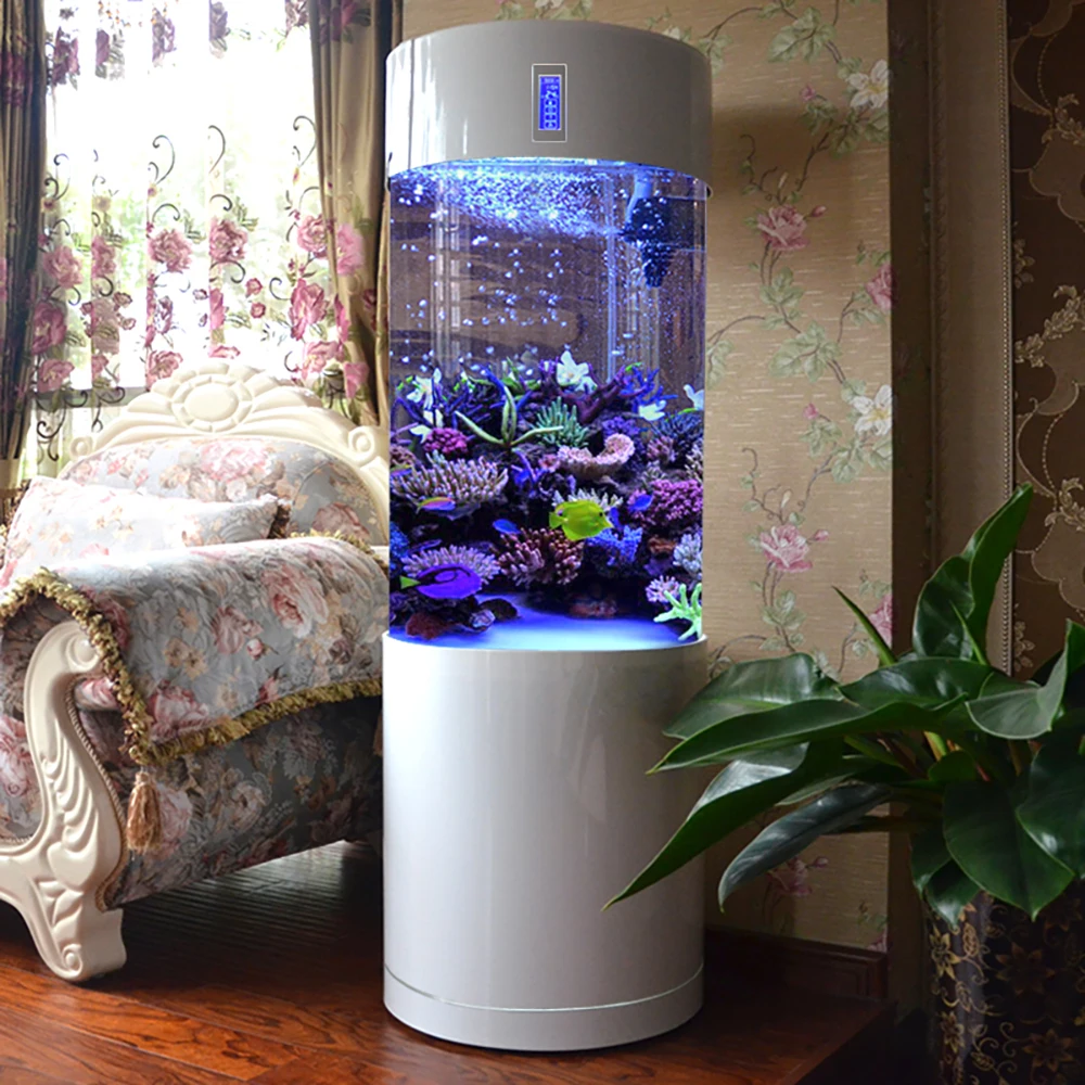 Video Akuarium Tipe Terpisah Air Tangki Ikan Akrilik Silinder Putih Rumah Tangga Akuarium Tanks Aliexpress Model aquarium berdiri