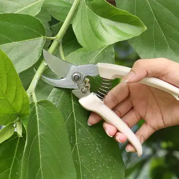 

Anti-slip Gardening Pruning Shear Fruit Tree Pruning Scissor Bonsai Pruners Secateurs Garden Scissors Multi-function Hand Tool