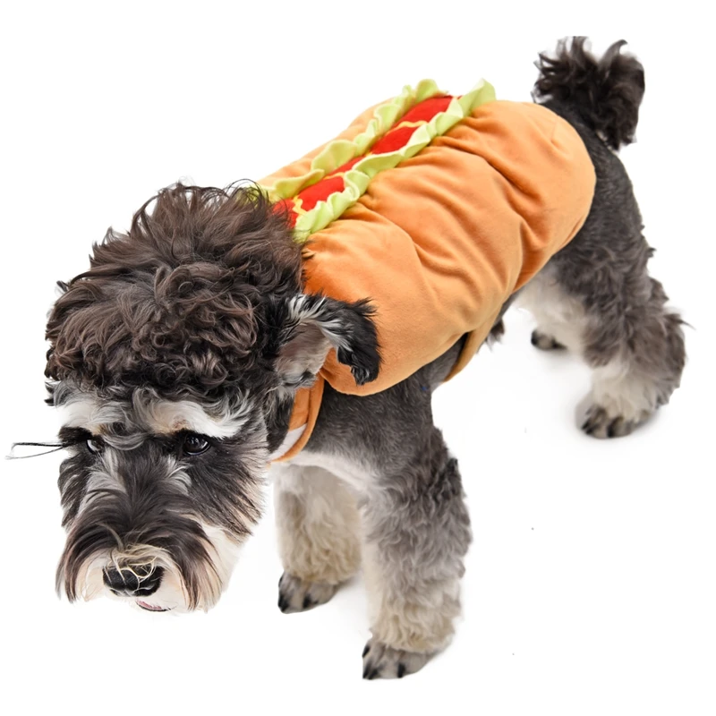 Dress Your Pup to Impress The Ultimate Guide to Dog Food Clothing