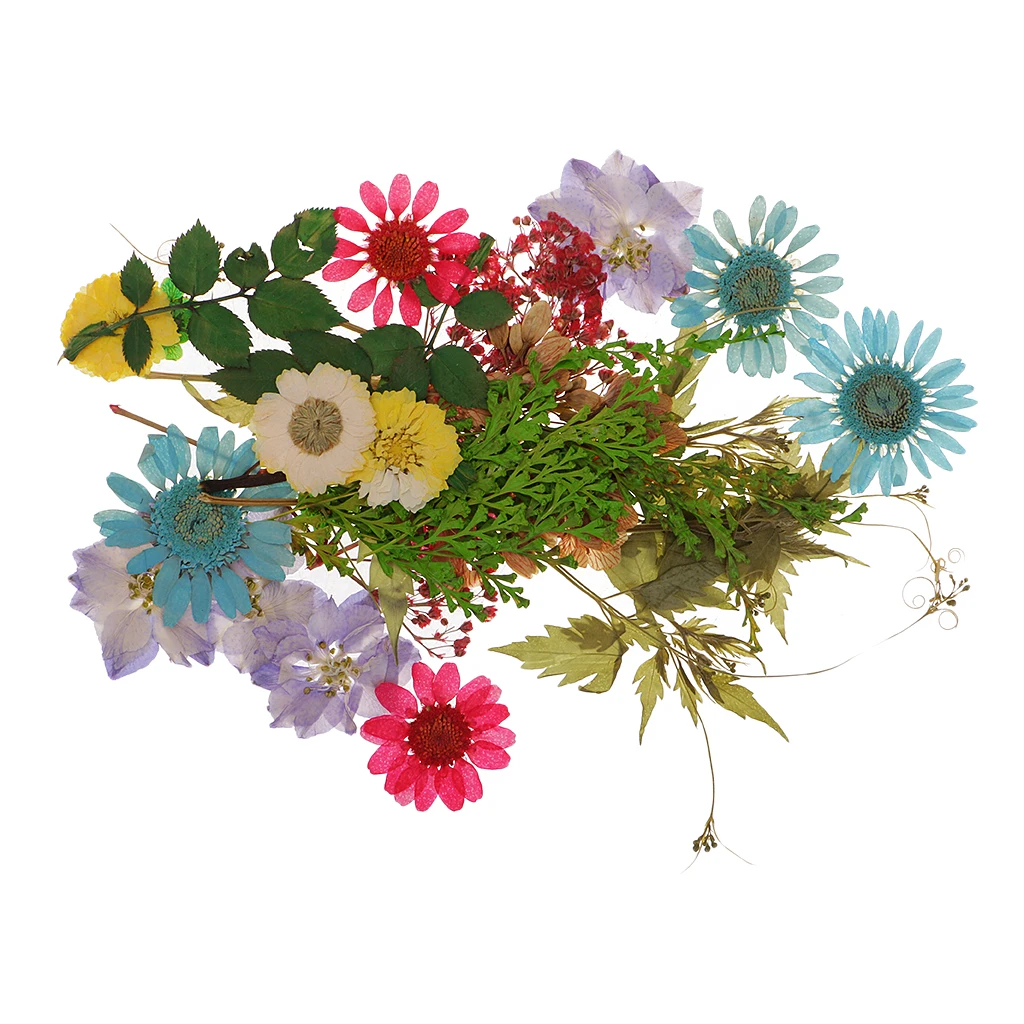 Pack of 50pcs Natural Dried Flower Real Flower Mixed For DIY Resin Ornament Craft Card Making Scrapbooking Embellishments