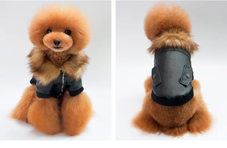P10_Fashion_Pet_Dog_leather_Jacket_Clothes_Winter_Warm_fur_collar_Teddy_Small_dog_Coat_Chihuahua_Clothing_ (3)