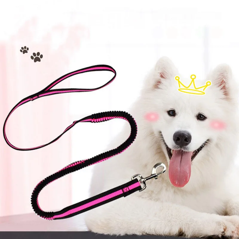 Large Dogs Cats Leash Elastic Pet Cat Puppy Dog Leash Anti Dash Pull Dog Lead Leash 190cm Retractable Leash for Dogs Collar