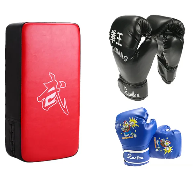 kickboxing gloves and pads