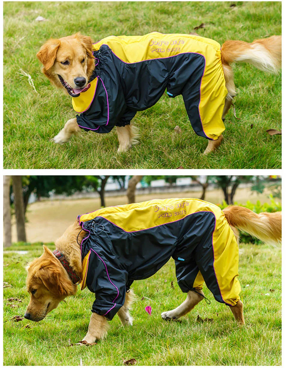 3909259379_1277952457