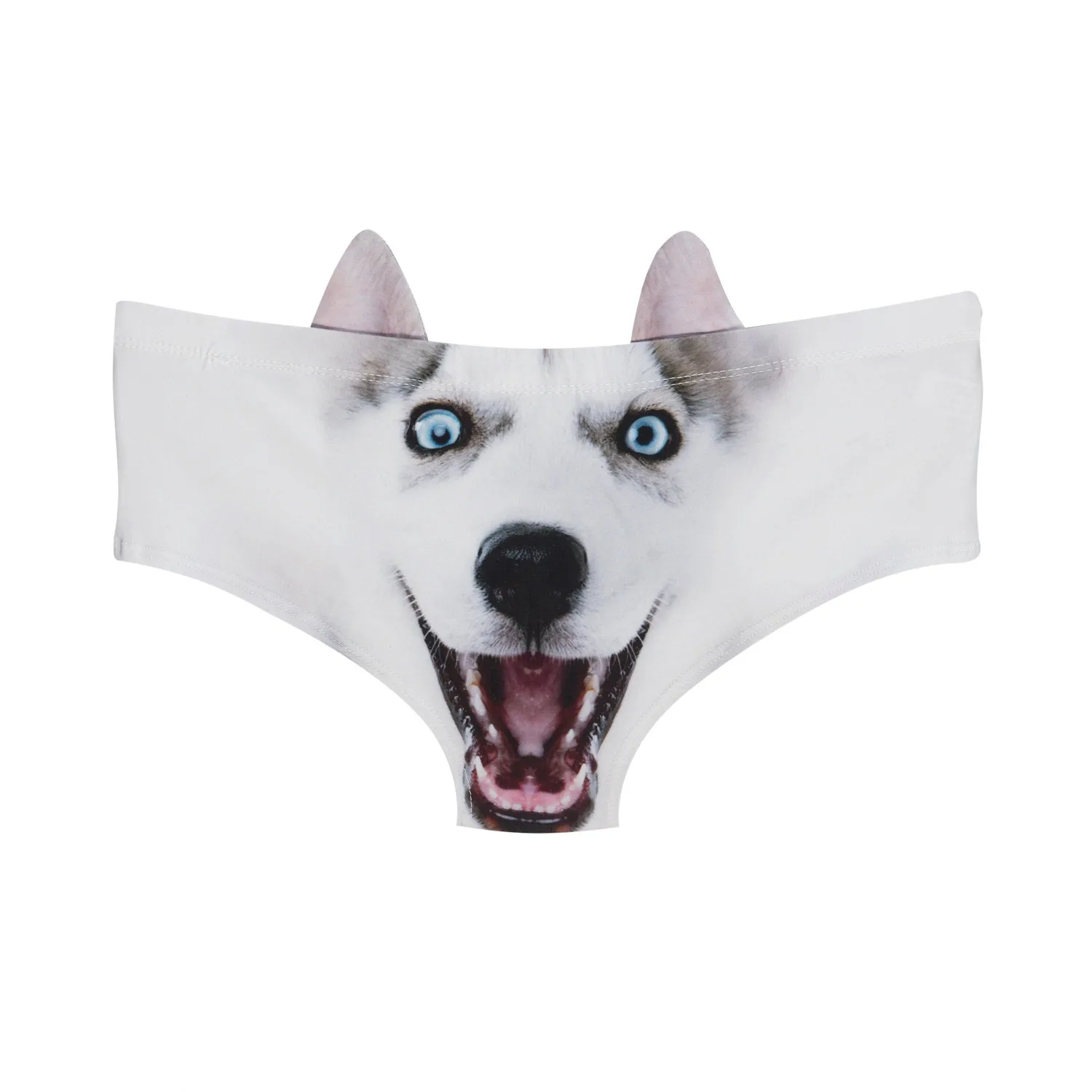 46725 HUSKY 03