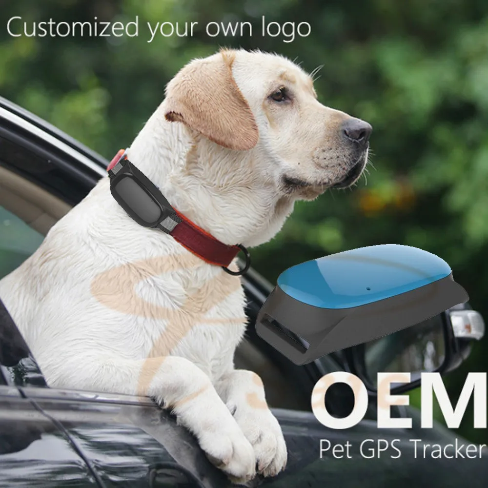 gps tracking device for dogs waterproof smart cats dogs gps tracking device real time waterproof pet collars gps tracking device for dogs waterproof smart cats dogs gps tracking device real time waterproof pet collars
