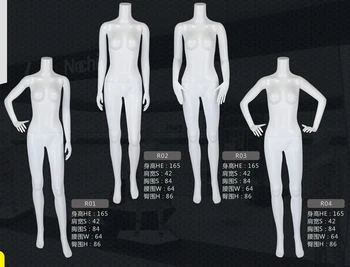 

New Style Headless Mannequin Female Model Fashionable Style Made In China