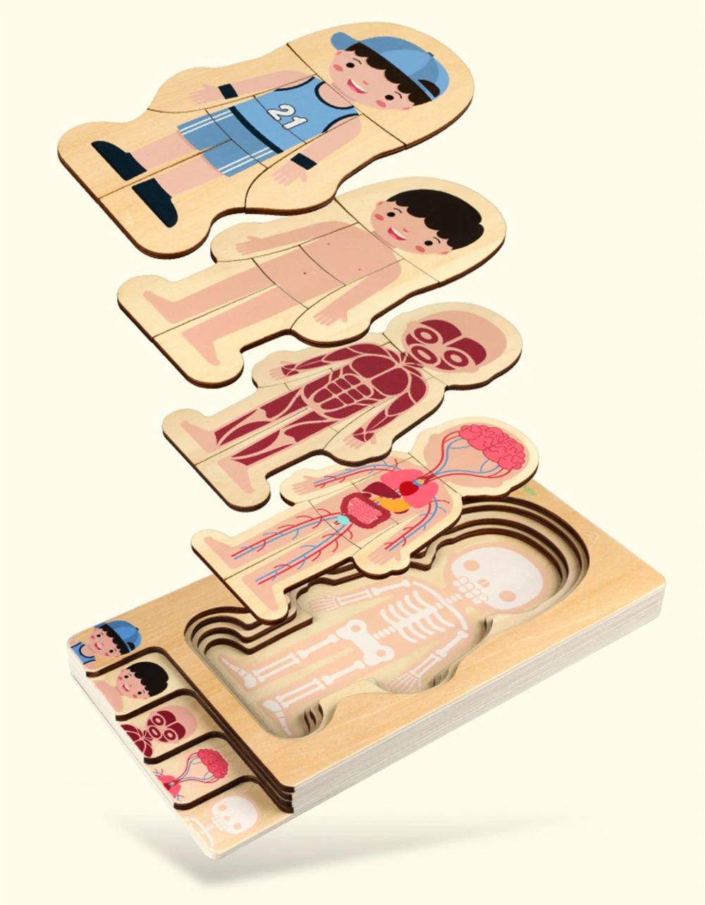 Деревянные игрушки для мальчиков и девочек с рисунком 3D головоломки Многослойные человеческого тела головоломки Детские деревянные