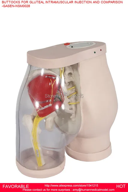 buttocks injection simulator injection