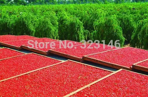 FREE SHIPPING!!  1 KG  Top Goji Berries Pure Bulk ...