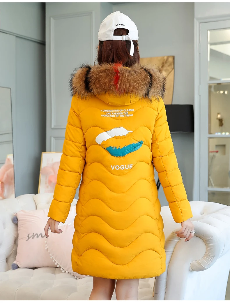 Women Winter Long Jacket Fake Fur Collar Hooded Parka Padded Coat Women 2018 Korean Thick Warm Slim Coats Jackets Female CH695 (7)