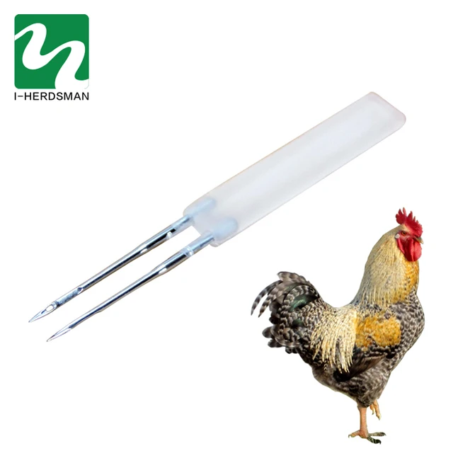 10 Pcs Chickens With Stainless Steel Poultry Hemorrhoids Needle Inoculation Needle Pox Needle Breeding Equipment Wholesale Feeding Watering Supplies Aliexpress 10 Pcs Chickens With Stainless Steel Poultry Hemorrhoids Needle Inoculation Needle Pox Needle Breeding Equipment Wholesale Feeding Watering Supplies Aliexpress