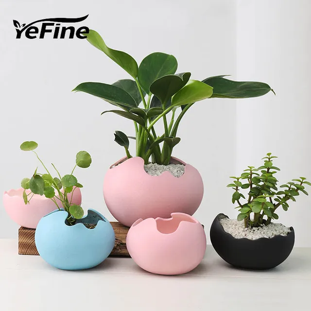 office flower pots small yefine creative egg design water planting flower pot decorative office plant garden hydroponics big planters office flower pots small yefine creative egg design water planting flower pot decorative office plant garden hydroponics big planters